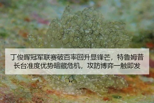 丁俊晖冠军联赛破百率回升显锋芒，特鲁姆普长台准度优势暗藏危机，攻防博弈一触即发