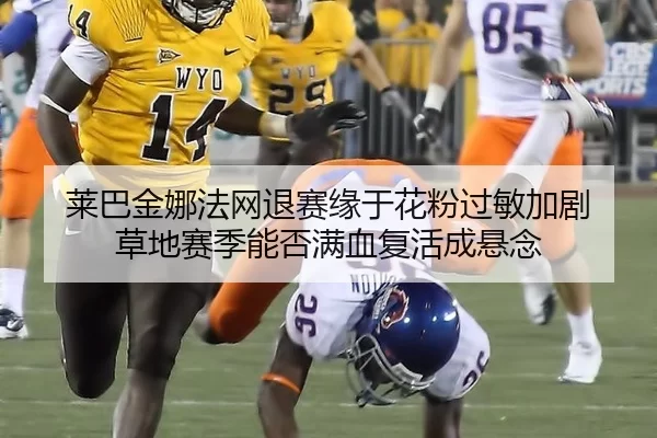 莱巴金娜法网退赛缘于花粉过敏加剧 草地赛季能否满血复活成悬念 | KAIYUN